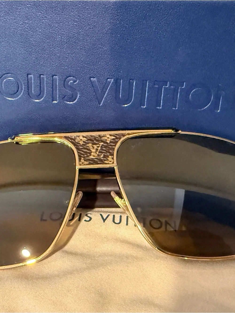 Louis Vuitton authentic louis